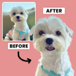 Why Hand Drawn Dog Portraits Are the Perfect Way to Celebrate Your Four-Legged Friend